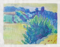 Wiesenlandschaft