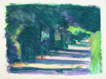 Baumschatten-scaled