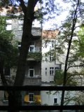 Baum_im_Hinterhofgedreht