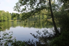 Weiher