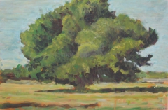 Solitair