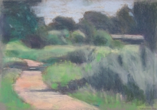 Feldweg im Sonnenlicht