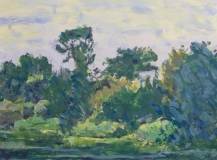 bewaldetes_Ufer