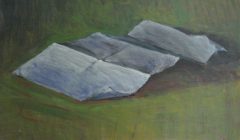 cropped-IMG_2049-1